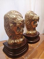Front angle close-up showing highly polished brass lion heads on rosewood bases, highlighting detailed facial features including open mouths and teeth.