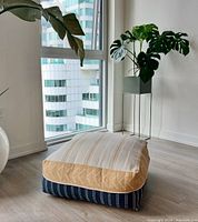 Floor cushion positioned near a window with plant nearby, showing front and side of the cushion on a wooden floor.