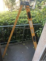 Photo showing the ladder standing open with side rails and steps visible, outdoor setting with greenery in background.