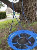 Blue Viva Active round saucer swing attached via blue ropes and carabiners to a tree branch in an outdoor setting.