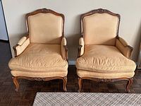 Pair of two bergère armchairs side by side from front