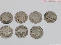 Top view of seven Indian Head Nickels showing the obverse and reverse sides.