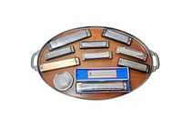 Top view of all 10 harmonicas displayed on an oval wooden tray, showing 9 metal harmonicas and one hum-a-tune accessory in a round translucent case.