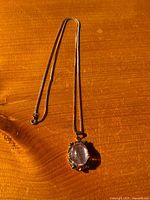 Full view of snake chain and pendant laid flat