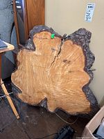 Slab leaning against wall showing full irregular outline and bark edge