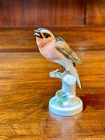 Front view showing detailed colored bird with open beak perched on white branch base with green leaves.