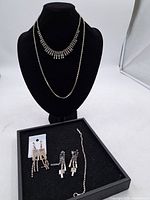 Full lot displayed on black necklace bust and tray showing necklaces, earrings, and bracelet.