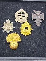 Five military badges displayed on black surface showing various designs and metals.