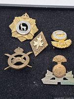 Top view of the five military badges arranged on black fabric, showing various insignias including a star with a stag and flaming grenade badges.