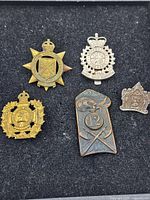Five military badges displayed together on black fabric showing various designs and conditions.