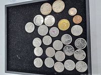 Photo of Canadian coins in a black tray, showing various designs including wildlife and maple leaves.