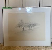 Front view of the framed pencil drawing showing three apricot trees with dimensions noted on green tape.