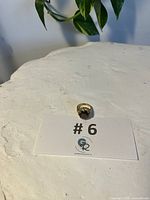 Front view of the ring on a white surface with plant backdrop