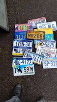 Photo showing all 16 vintage license plates, focus on the collection as a group.