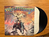 Front cover of Molly Hatchet "Beatin' the Odds" vinyl LP featuring illustrated battle scene with Viking warrior on horseback.