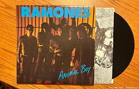 Front cover photo of Ramones Animal Boy album partially showing the black vinyl record.