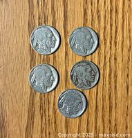 Five coins showing the obverse Native American profile side. One coin dated 1926, others have dates worn off.