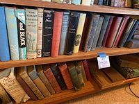 Two wooden shelves filled with vintage hardcover books with dust jackets in varied colors including blue, black, green, and red. Titles visible include '17 and Black', 'The Giant Joshua', 'Lady in the Dark', and 'The Hill of Doves'.