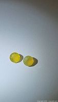 Two round cut, golden yellow natural African fire opal gemstones on white background, showing the color and surface texture.