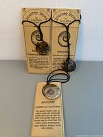 Photo of three ammonite fossil necklaces on cards showing natural fossil pendants and black cords