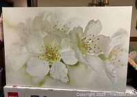 Canvas print showing close-up of white flowers with soft-focus background, sized approximately 78cm by 118cm