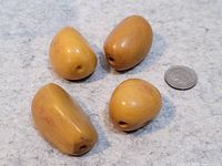 Four yellowish carved pendants of various shapes arranged on a grey surface beside a coin for scale.