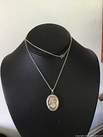 Full view of the necklace on a black bust showing the chain and pendant