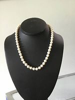 Pendant display bust showing the full pearl necklace hung in a gentle curve, pearls are round, white and consistent size.