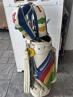 Golf bag standing upright showing colorful diagonal stripes and mounted golf clubs with headcovers labeled 1 and 4.