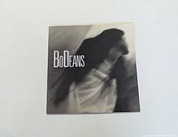 Front cover of the BoDeans LP album "Love & Hope & Sex & Dreams" showing band name and black and white photo.