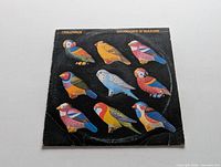 Front cover of the Chilliwack Breakdown in Paradise LP showing colorful birds on black background and visible wear marks