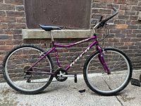 Full side profile of purple mountain bike showing frame, wheels, handlebar, seat and pedals