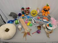 Full assortment of pet toys laid out on a light surface