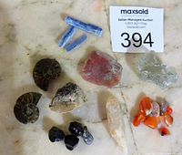Overview of entire set including minerals and fossils: dinosaur fragment, ammonite fossils, kyanite, quartz, carnelian agate, jasper, jet stones