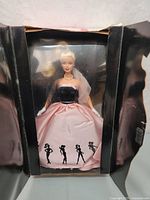 Barbie doll in original packaging wearing black velvet and pink satin gown with silhouette details on skirt.