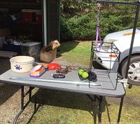 Full view of grooming table outdoors showing all included items on its surface