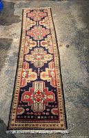 Full-length view of rug showing overall design and fringe