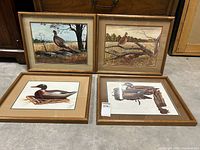 Four framed duck prints arranged side by side on concrete floor in front of furniture. Each print shows different duck species and natural scenes. All prints have artist signatures.