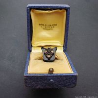 Ring set in open Birks-Ellis-Ryrie box showing lid branding and velvet bed