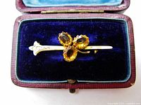 Front view of brooch sitting in its purple velvet case