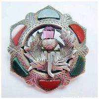 Front view of brooch showing scalloped frame, central thistle and insets