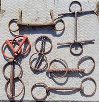 Top-down photo of seven antique hand-forged iron horse bridle bits placed on a textured surface. Various twisted bar designs and rings are visible, showing rust and patina.