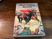 Front cover of The Black Stallion Returns showing a boy riding a black stallion in an Arabian setting with colorful illustration.