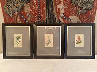 Three botanical prints with black frames arranged side by side on a white surface with a decorative tapestry background.