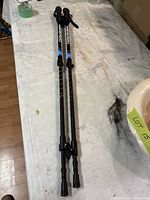 Pair of Mountain Profile black adjustable walking sticks displayed on white surface showing full length and handles