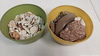 Photo showing two plastic bowls, one green containing an assortment of small seashells, and one yellow containing driftwood pieces and a rock.