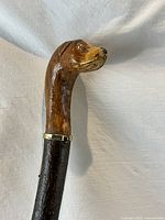 Side view of walking stick showing hand carved dog's head handle with gold collar and wood texture.