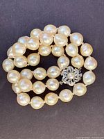 Coiled view of entire pearl strand showing size and luster