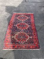 Full view of rug on pavement showing pattern and fringes
