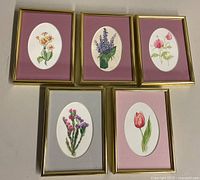 Five framed flower watercolours arranged showing differences in mats and floral subjects.